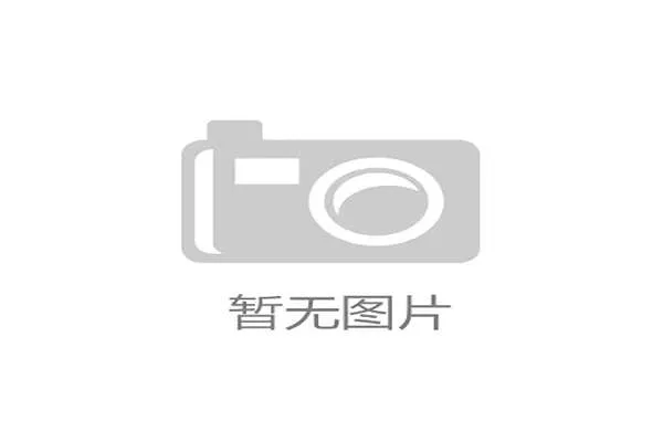 申花主场球市火爆背后 蓝色经济圈引领城市新兴发展动能